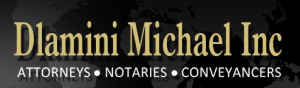 Dlamini Michael Inc