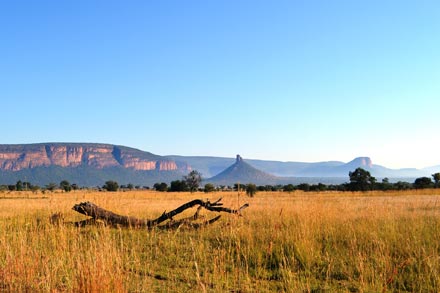 Landscape view of mountains and bushveld in Polokwane (Pietersburg)