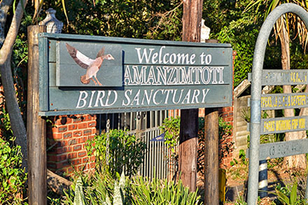 The Amanzimtoti Bird Sanctuary in Amanzimtoti