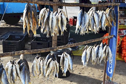 Bokkoms - dried salted fish for sale in Milnerton