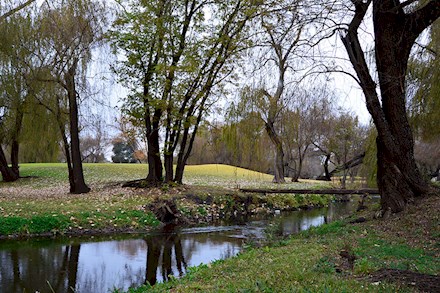 The Botanical Garden in Potchefstroom