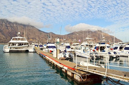 The harbour in Hout Bay