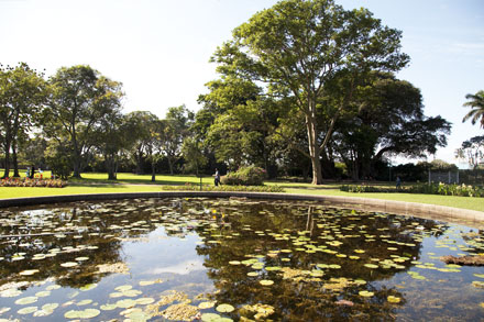 Enjoy beautiful Durban Botanic gardens 