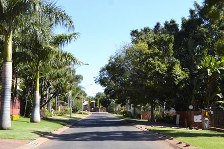 A leafy street in Northern Pretoria