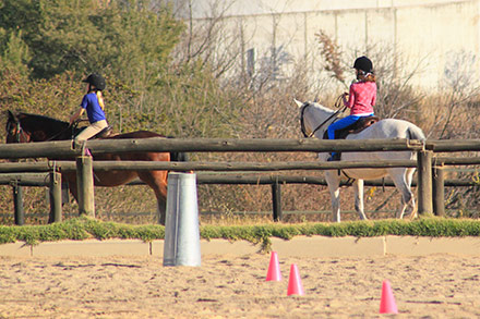 Things to do in Sandton - Horse riding school