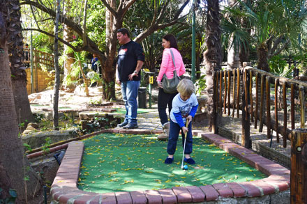 Adventure golf in Randburg and Ferndale