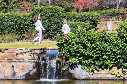 Johannesburg Botanical Gardens in Northcliff