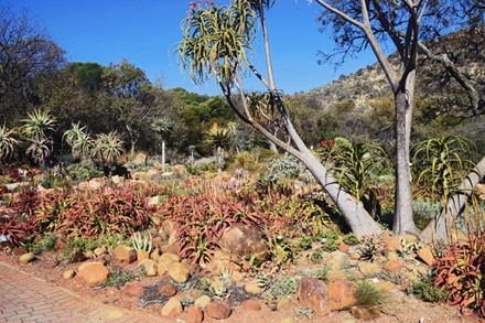 The Botanical Gardens in Roodeport