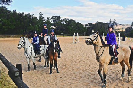Horse riding school in Roodeport