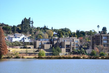Properties overlooking Gilooly's Lake in Bedfordview