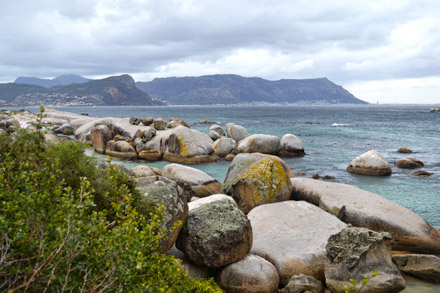 Boulders beach in False Bay