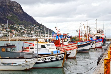 Boats in the harbour at False Bay