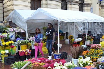 A flower market in Cape Town City Bowl