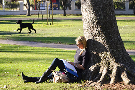 Woman reading in a park in Cape Town City Bowl