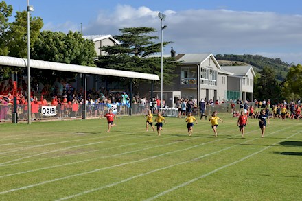 Beaumont primary school athletics in Somerset West