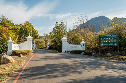 The Helderberg Nature Reserve in Somerset West