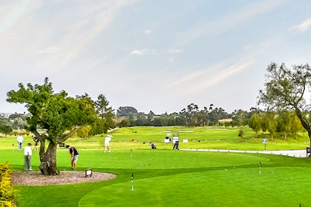 A golf club in Durbanville