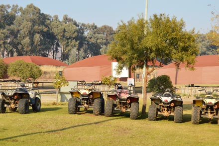 Quad biking in Hartebeespoort Dam and surrounds