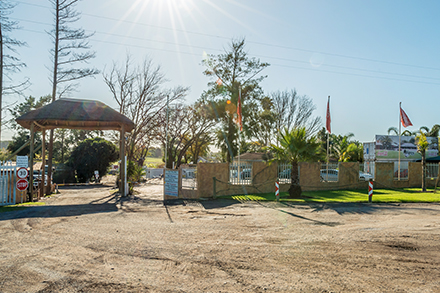 Landscape in Brackenfell