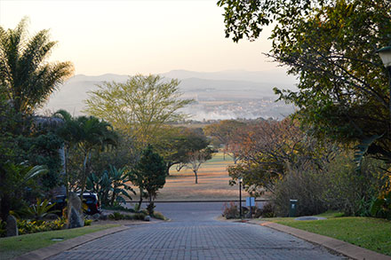 Tree lined street in Nelspruit (Mbombela)