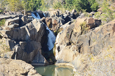 Botanical Gardens in Nelspruit (Mbombela)