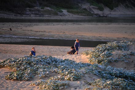 The beach in Mossel Bay to Glentana