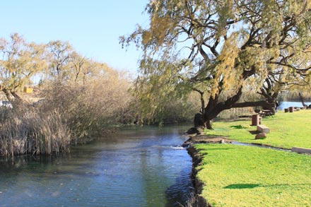 River and trees in Alberton
