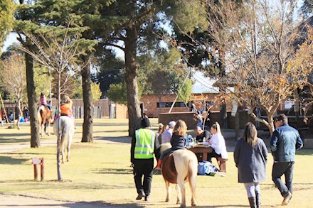 Horse riding at a park in Alberton