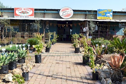 A nursery in Silver Lakes