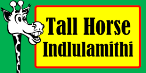 Tall Horse Rentals