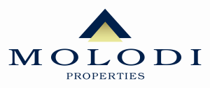 Molodi Properties