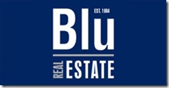 Blu Real Estate