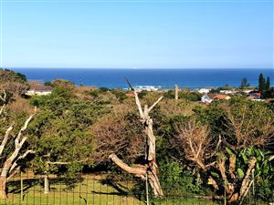 3 Bed House in Woodgrange