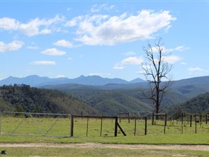 32 ha Farm in Knysna Central