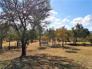 1290 m² Land available in La Camargue