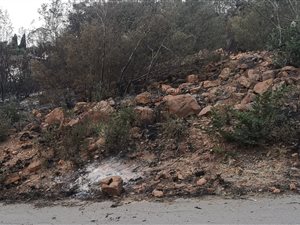 991 m² Land available in Ohenimuri