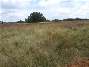 1 ha Land available in Rietvlei View