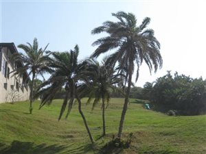 1010 m² Land available in Tinley Manor and surrounds