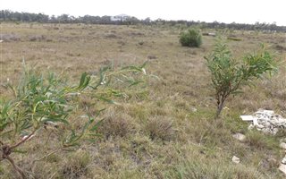 807 m² Land available in Parsons Vlei