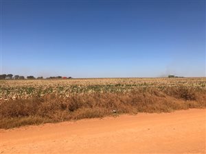 288 ha Farm in Bapsfontein