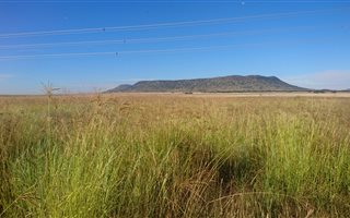 174 ha Farm in Bloemfontein Rural