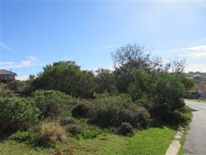 738 m² Land available in Port Alfred