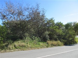 738 m² Land available in Port Alfred