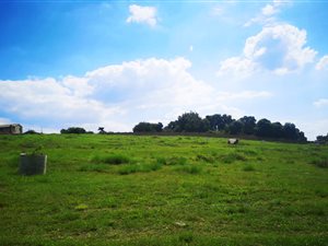 656 m² Land available in Eldoraigne