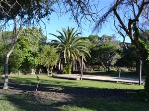 828 m² Land available in Keurboomstrand