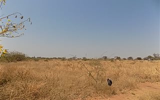 4.5 ha Land available in Winterveldt