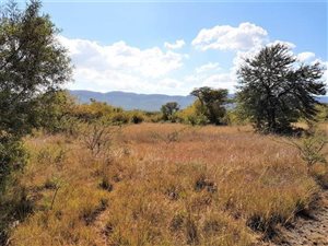 1284 m² Land available in La Camargue