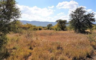 1284 m² Land available in La Camargue