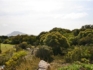 1218 m² Land available in Bettys Bay