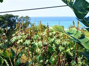 2 Bed House in Sea Park
